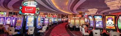 bwin5